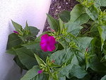 28072010714.jpg