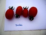 DASHER 27 07 2010.JPG