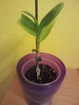 P28-07-10_07-48.jpg