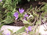 Photo0673.jpg
