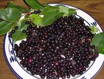 HPIM0305_Black_cherry_WL.jpg