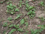 DSCF1402.JPG