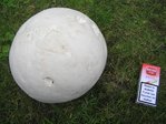 Champignons 1-31 juill 10 003.jpg