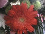 Photo020.jpg