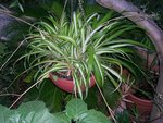 DSCN4104.JPG