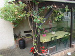 DSC00676.JPG