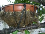DSCN4114.JPG