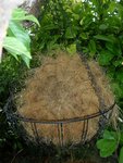DSCN4115.JPG