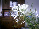 SP_A0175.jpg