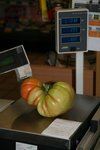 1.010kg.jpg