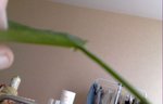 03082010418.jpg