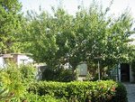 IMG_0011revu 3.JPG
