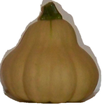 guifes.png