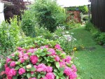 100_4344 (Medium).JPG