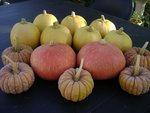 DSC02975.JPG