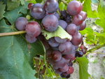 DSCN1334.JPG