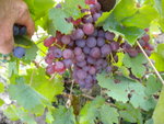 DSCN1337.JPG