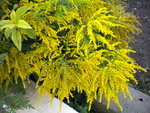 DSCN1347.JPG