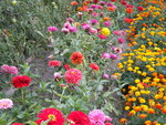 DSCN1338.JPG