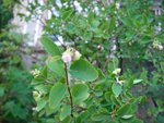 DSC03477.JPG