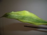 DSCF4041.jpg