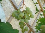DSC02545.JPG