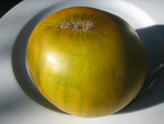 IMG_6961.JPG
