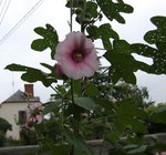 DSC_4144.JPG