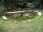 IMG00070-20100813-1459.jpg