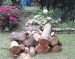Reste de bois