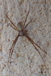 DSC01279.JPG