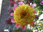 DSCN1296.JPG