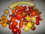 14082010.JPG
