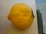 courge, potiron?
