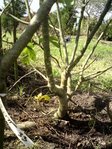 DSC00699.jpg