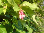 DSC00302.JPG