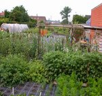 jardin expérimental du cercle horticole<br />culture au naturel (bio)