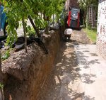 mon jardin fin juillet, vue coté voisin<br />suite à la réparation du mur mitoyen