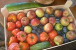 les petits fruits et légumes du jardin.jpg