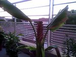 Snapshot_20100817_37.jpg