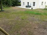 P1150160.jpg