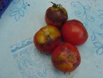 DSC09992.JPG