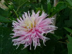 DSC02547.JPG