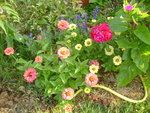 DSC02563.JPG