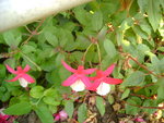 DSC02562.JPG