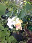 17082010282.jpg