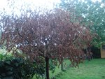 DSC01963.JPG