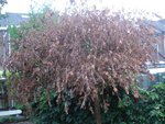 DSC01964.JPG