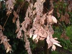 DSC01965.JPG