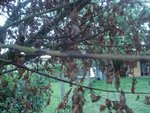 DSC01970.JPG